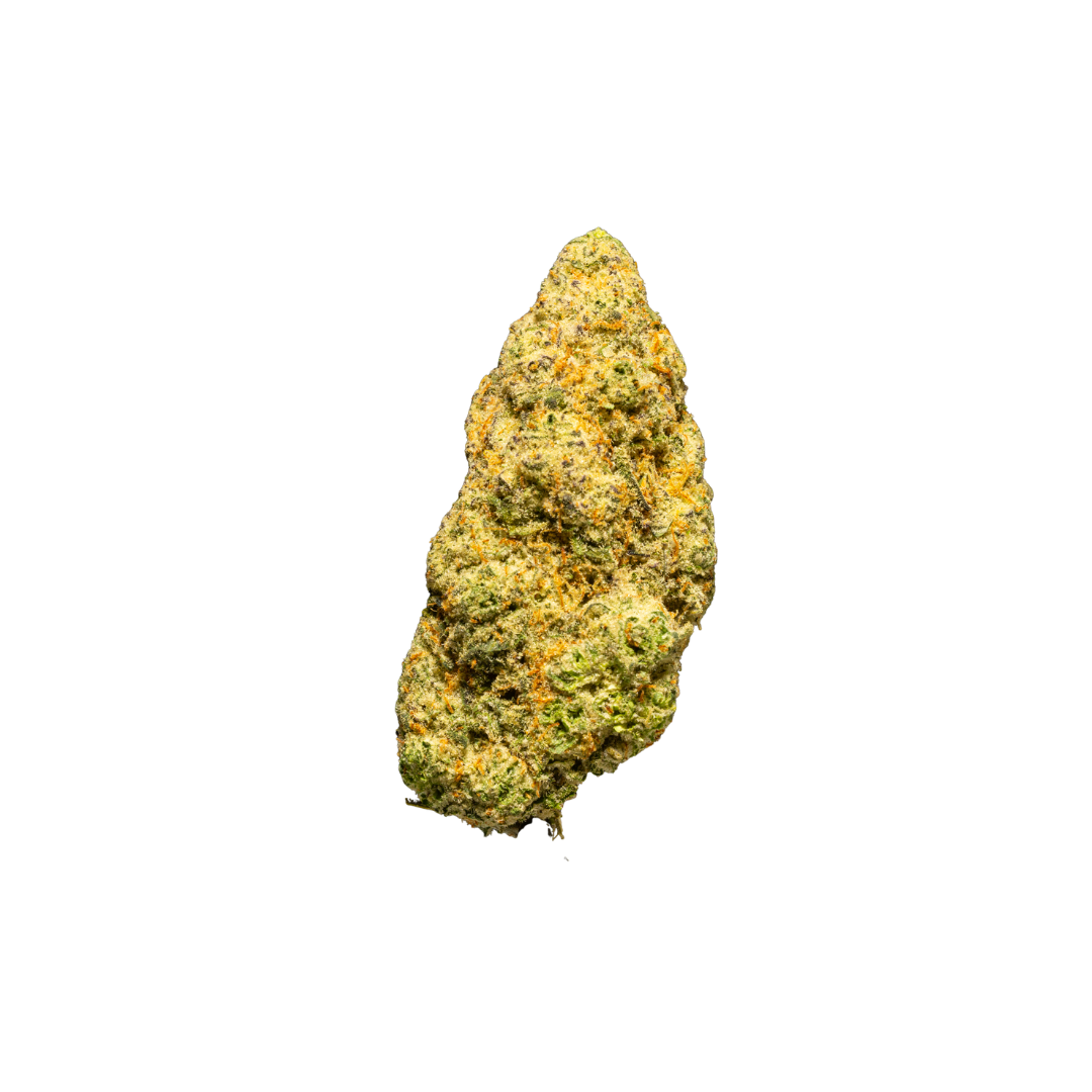 Grandiflora Guava Indica| Indoor THCa Flower