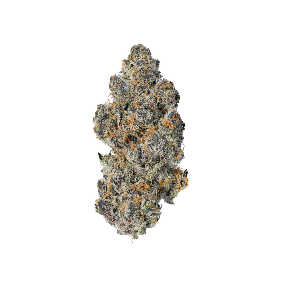 Dry Guy Hand Mixed Soil Blend – The Plant Lady SF