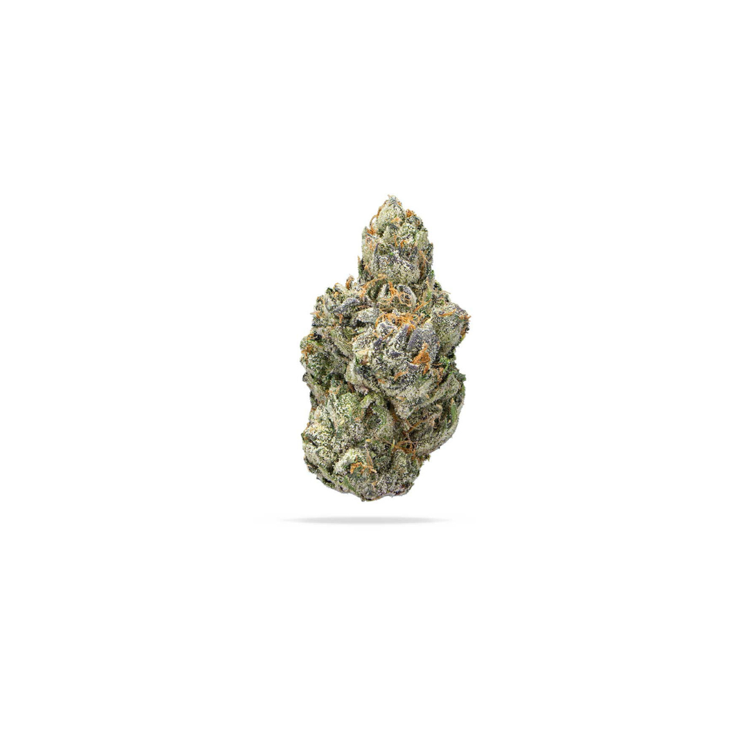 Amaretto Sour (Indica) |  Indoor THCa Flower