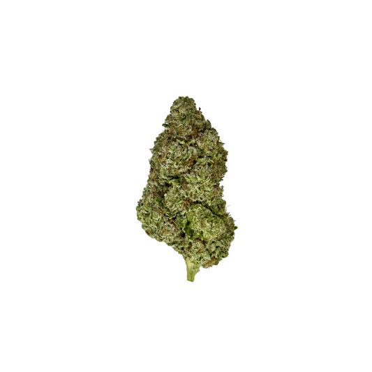 Guava (Sativa) |  Indoor THCa Flower