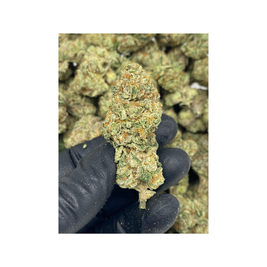 High Society Hybrid|  Indoor THCa Flower