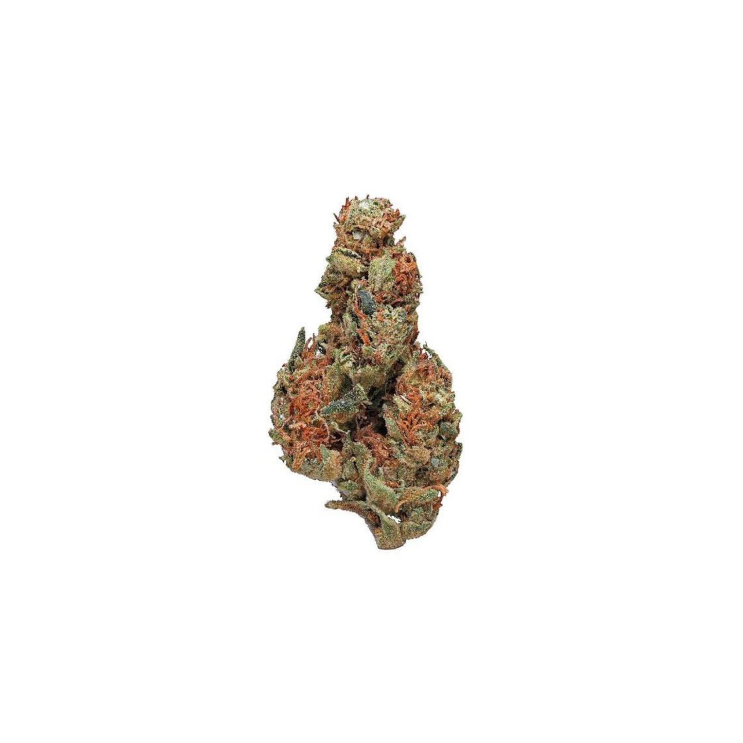 Panama Red (Sativa) |  Indoor THCa Flower