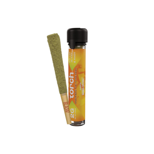 Mango Sherbet | Hashhole| Indica | 2G