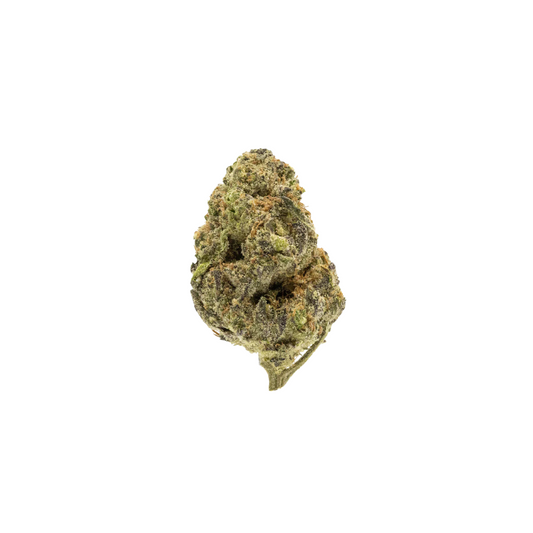 Government Oasis (Hybrid) |  Indoor THCa Flower